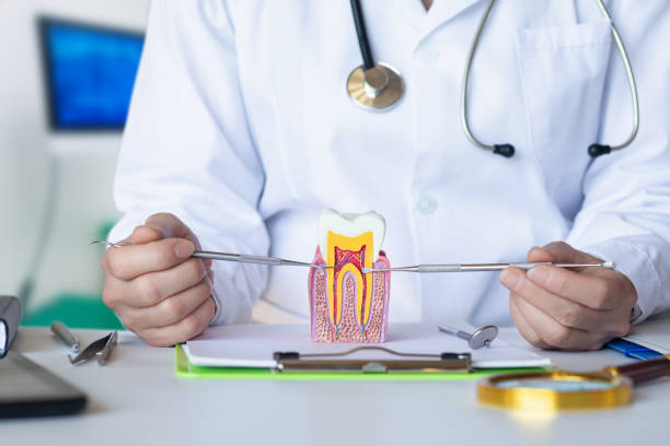 Best Dentist for Tooth Abscess  in Clay, AL
